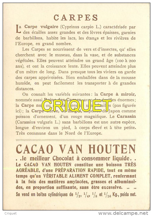 Maxi Chromo , Cacao Van Houten, Les Carpes, Descripif Au Verso - Van Houten