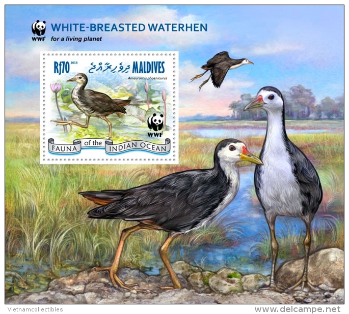 (WWF-519) W.W.F. Maldives White Breasted Waterhen / Bird / Birds MNH Souvenir Sheet 2013 - Unused Stamps