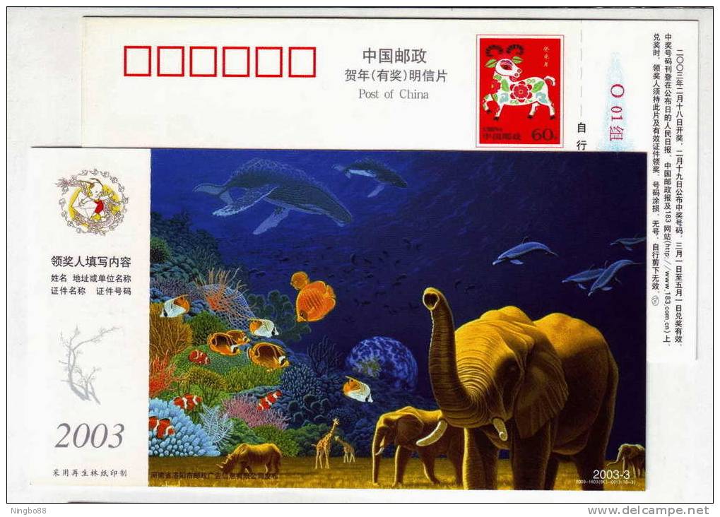 Planet,elephant,Giraffe,r Hinoceros,marine World Whale,dolphin,coral Reef Fish,CN 03 Luoyang New Year Pre-stamped Card - Ballenas