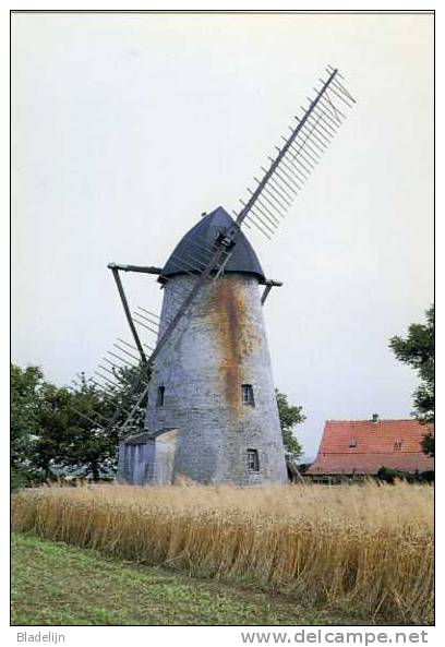 SINT-KORNELIS-HOREBEKE (O.Vl.) - Molen/moulin - Oudere Opname (1977) Van De Hoogkoutermolen, Hier Nog Met Twee Wieken. - Horebeke