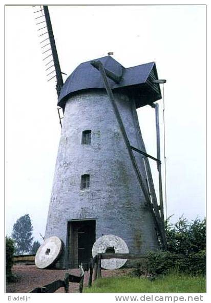 SINT-KORNELIS-HOREBEKE (O.Vl.) - Molen/moulin - Mooie Close-up Van De Hoogkoutermolen Voor Verbouwing (1977) - Horebeke