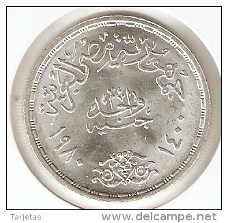 MONEDA DE PLATA DE EGIPTO DE 1 POUND DEL AÑO 1980 (COIN) SILVER-ARGENT - Egipto