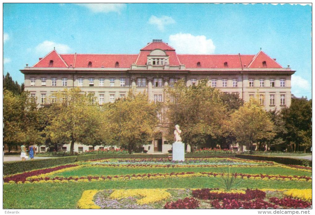 Institutue Of Medicine, Timisoara, Romania Postcard - Rumania