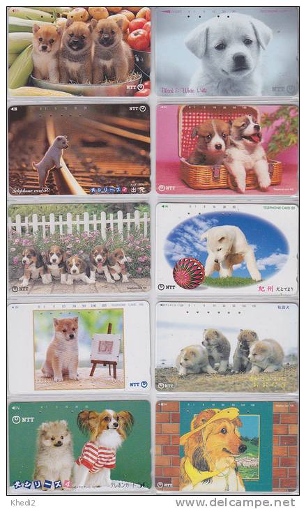 Lot De 10 Télécartes Japon NTT - ANIMAL - CHIEN Chiens - DOG Dogs Japan Phonecards - HUND Hunde Telefonkarten - 1149 - Lots - Collections