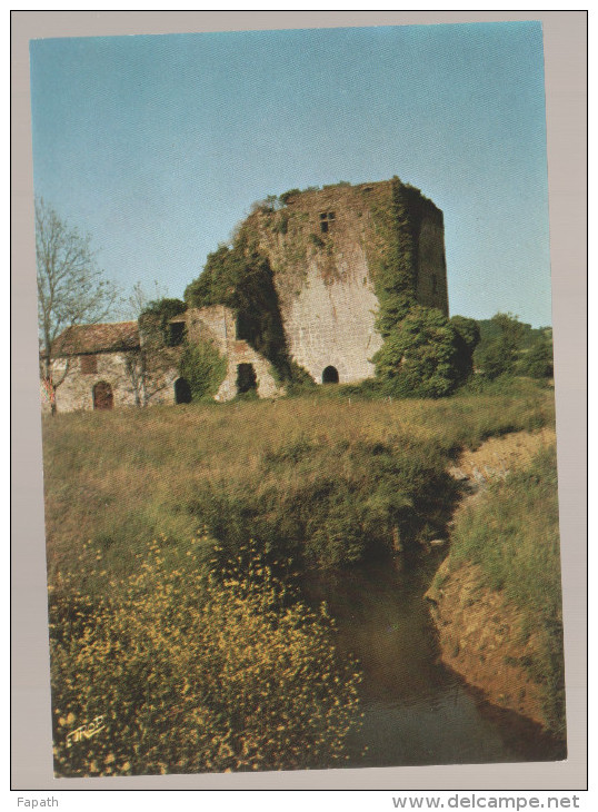 20 SCANS - 64  - SAINT-PEE-SUR-NIVELLE ET USTARITZ  - Lot De 10 Cartes Postales Modernes -non écrites - 5 - 99 Cartoline