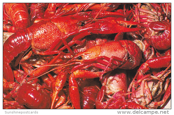 Louisaiana Cooked Cajun Crawfish - Other & Unclassified