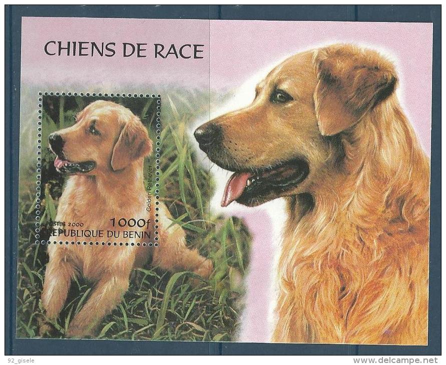 Benin Bloc YT ??? Non Référencé " Chiens De Race " 2000 Neuf** - Bénin – Dahomey (1960-...)