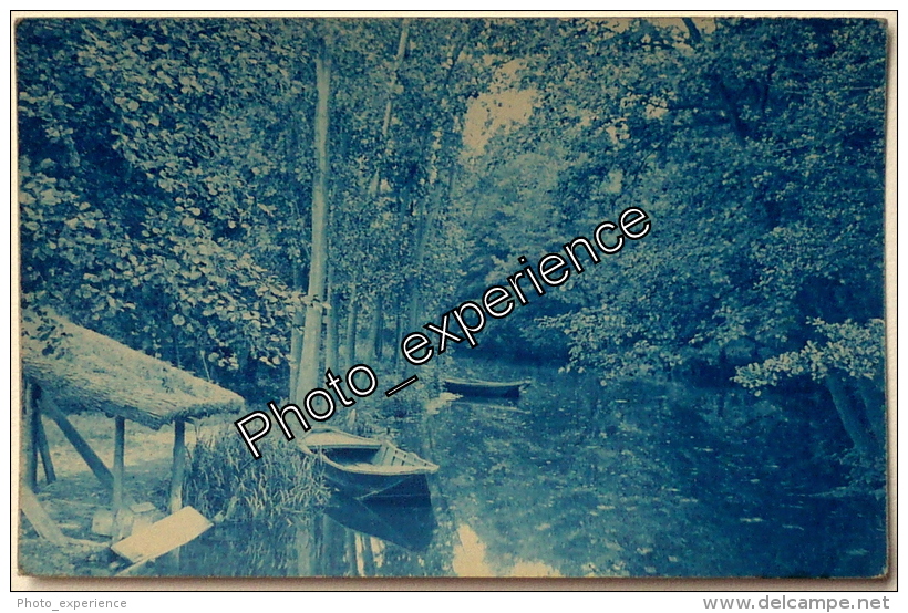 CPA Carte Photo Cyanotype Rivière YERRES 1910 COMBS LA VILLE Seine & Marne - Combs La Ville