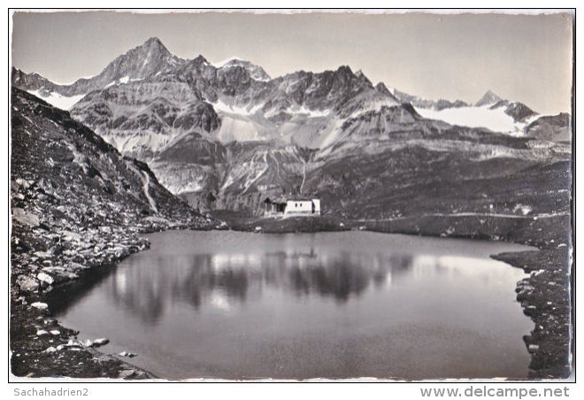 Pf. ZERMATT. Schwarzsee. Gabelhörner. 6800 - Zermatt