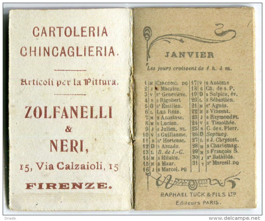 CALENDARIETTO CARTOLERIA E ARTICOLI PER LA PITTURA ZOLFANELLI & NERI FIRENZE ANNO 1902 CANE - Formato Piccolo : 1901-20