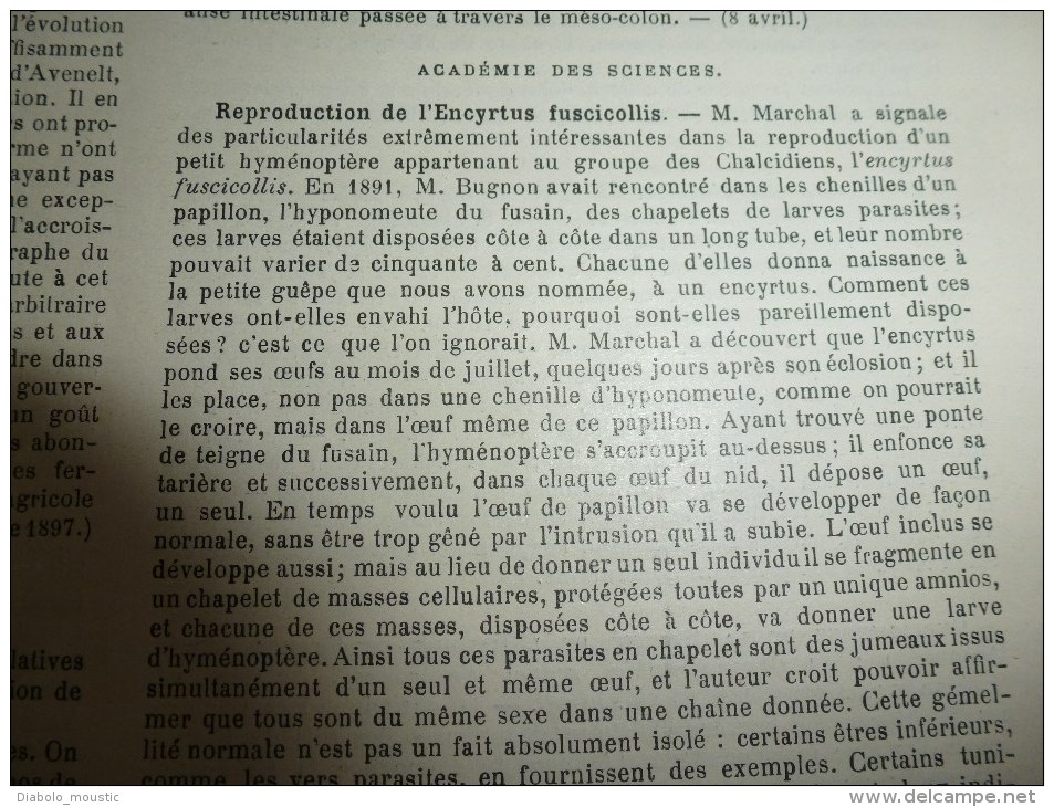 1898  La céramique berbère;  Les fouilles de ROME; La revue dramatique....