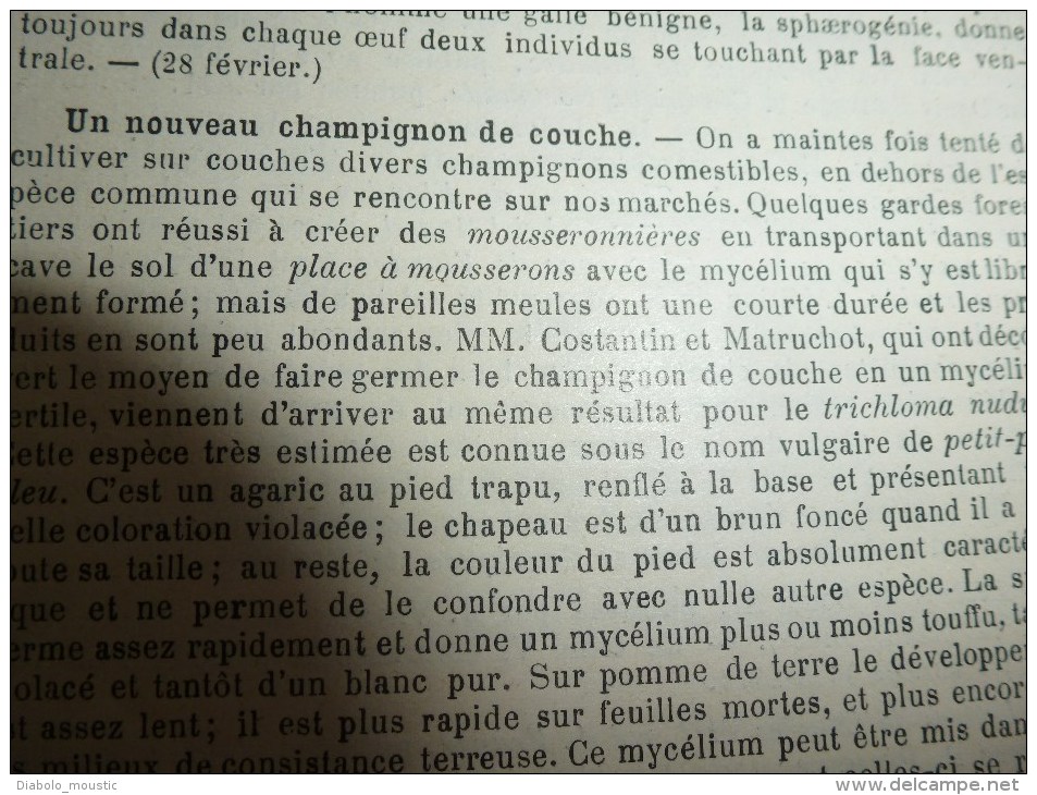 1898  La céramique berbère;  Les fouilles de ROME; La revue dramatique....