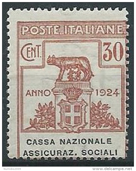 1924 REGNO PARASTATALI 30 CENT CASSA NAZIONALE ASS. SOCIALI MNH ** - ED420 - Franchise
