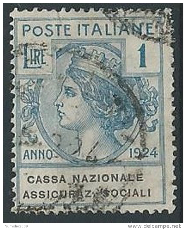 1924 REGNO USATO PARASTATALI 1 LIRA CASSA NAZIONALE ASS. SOCIALI - ED419 - Franchise