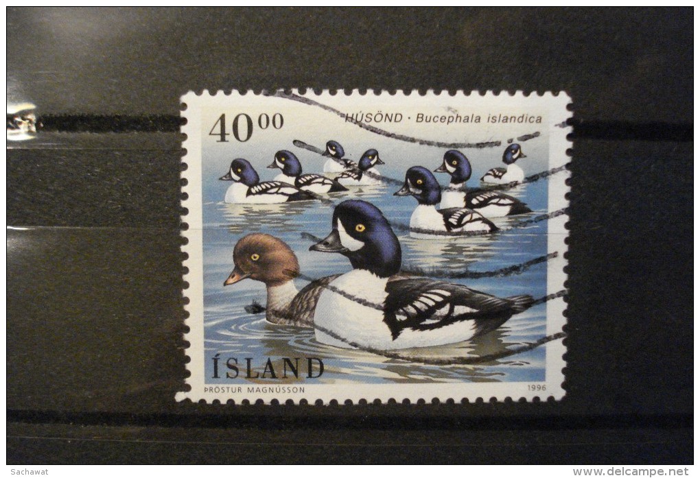 Islande - Année 1996 - Oiseaux "Garrot" - Y.T. 794 - Oblitéré - Used - Gestempeld. - Usati