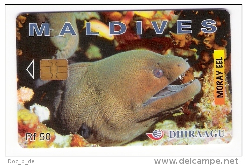 Maldiven - Maldives - Dhiraagu - Moray Eel - Fish - Fisch - Moräne - 256MLD - Maldiven