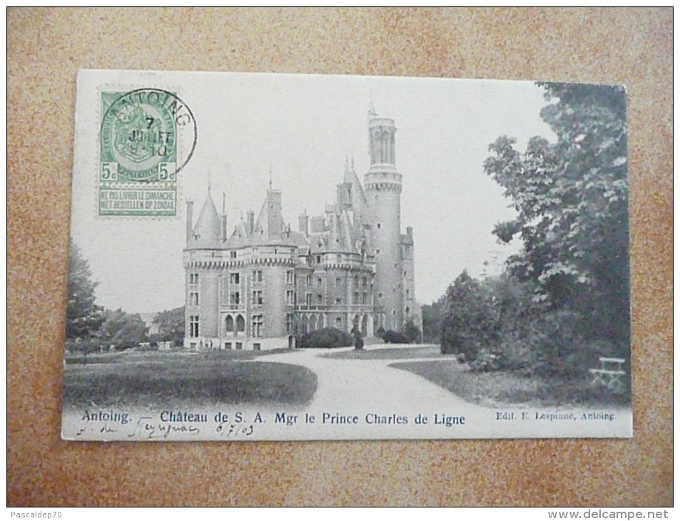 ANTOING - Château De S. A. Mgr Le Prince Charles De Ligne - (Rare !) - Antoing