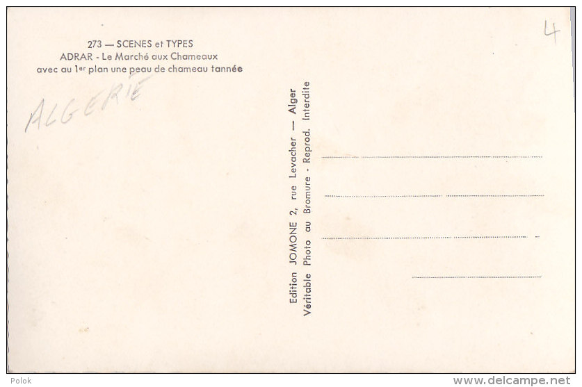 Am - Cpsm Petit Format Algérie - ADRAR - Le Marché Aux Chameaux Avec Au 1er Plan Une Peau De Chameau Tannée - Other & Unclassified