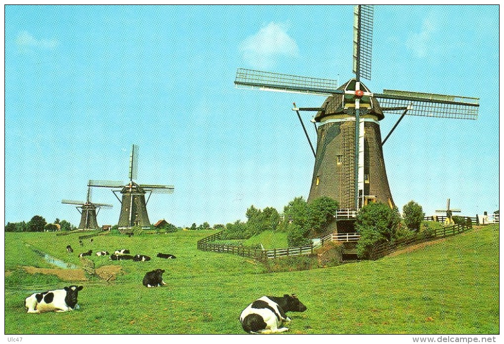 - LEIDSCHENDAM / HOLLAND - Driegang Van De Driemanspolder - Scan Verso - - Leidschendam