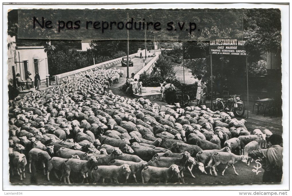 - 1345 - VALLERAUGUE  ( Gard ), Passage D´une Transhumance à Pont-d´Hérault, Citroën Restaurant Chez Maurice, BE, Scans. - Autres & Non Classés