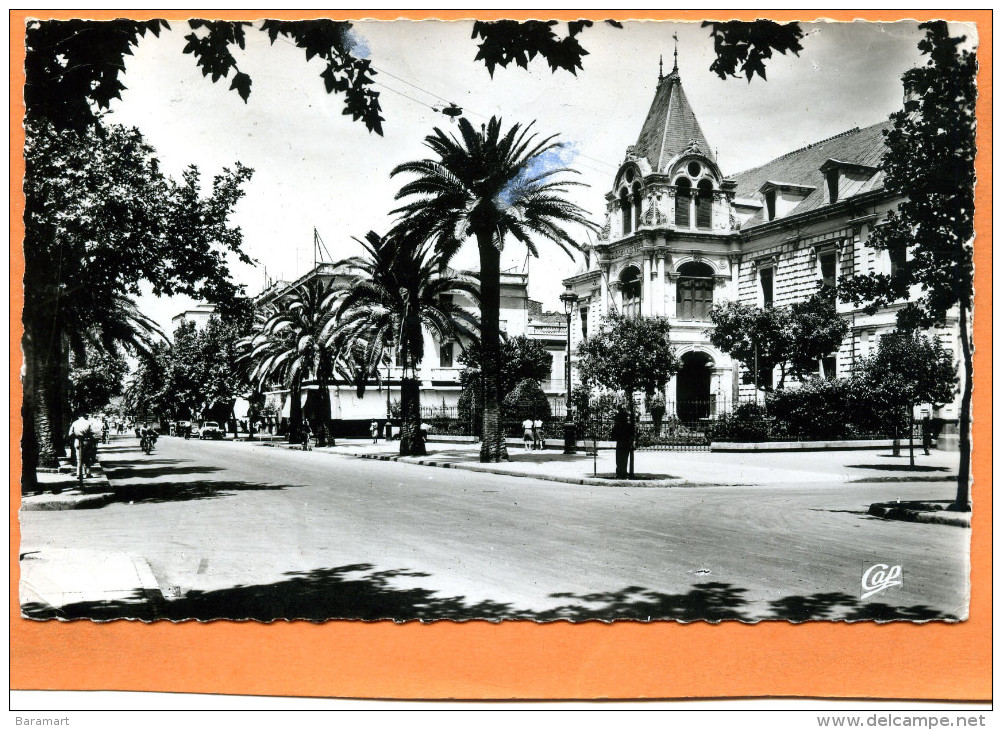 SIDI BEL ABBES  BOULEVARD DE LA REPUBLIQUE  ET HOTEL DE VILLE - Other & Unclassified