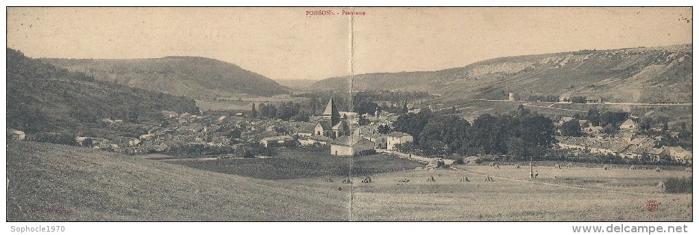 CHAMPAGNE ARDENNE - 52 - HAUTE MARNE - POISSONS 700 Hab. - Rare Carte Panoramique - Vue Générale Du Village - Poissons