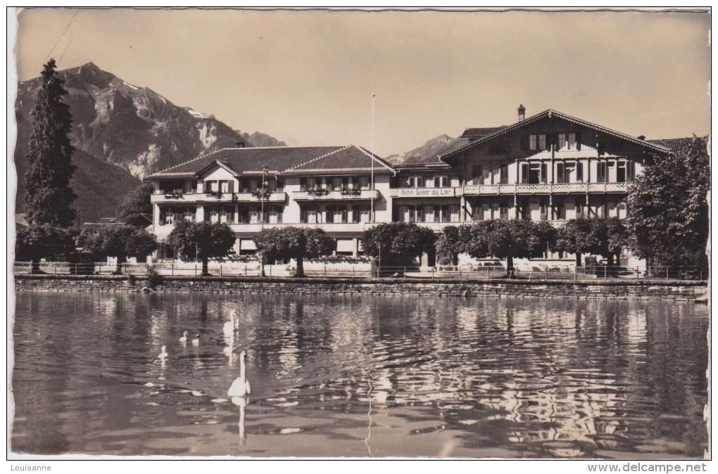 14 /  5 / 216  -  BÖNIGEN  AM   BRIENZERSEE  - HÔTEL  SEILER AU  LAC  - CPSM - Bönigen