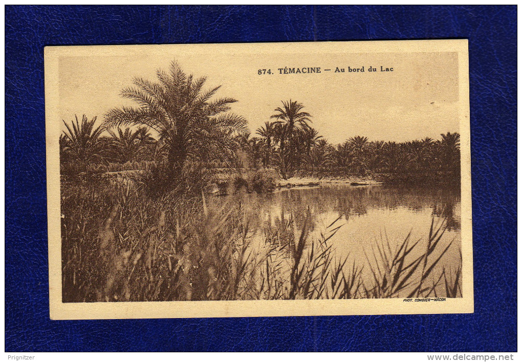 Algerien / Algérie       Temacine    Au Bord Du Lac - Autres & Non Classés