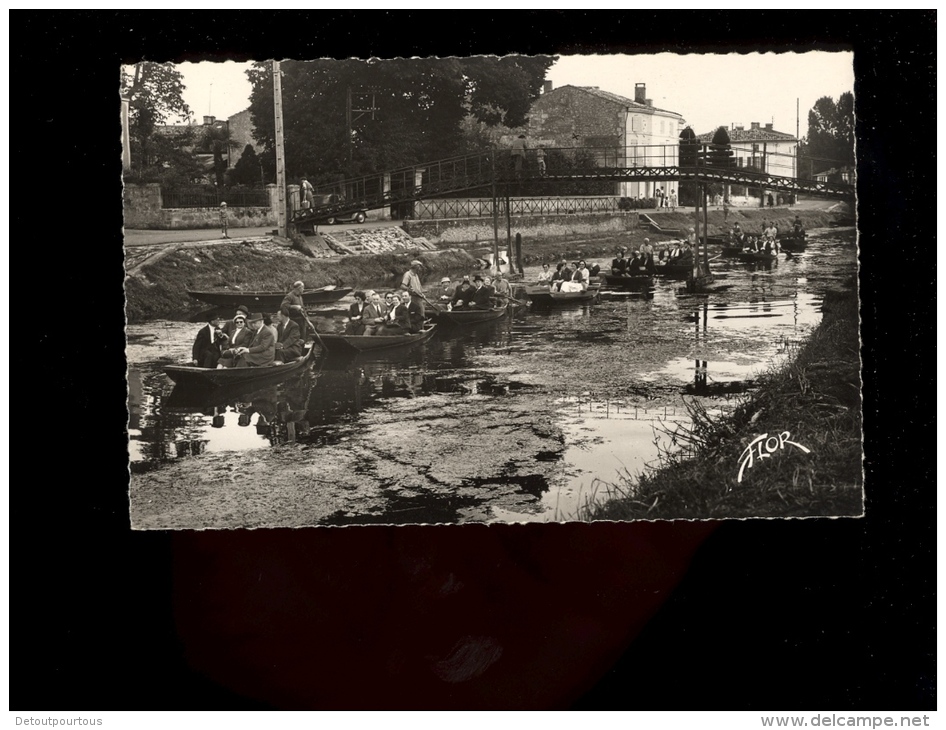 COULON ( SUR L'AUTIZE ) Deux Sèvres 79 : Convoi De Barques De Promenade - Coulonges-sur-l'Autize