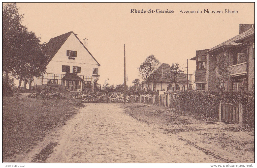 RHODE-SAINT-GENESE / SINT-GENESIUS-RODE : Avenue Du Nouveau Monde - St-Genesius-Rode