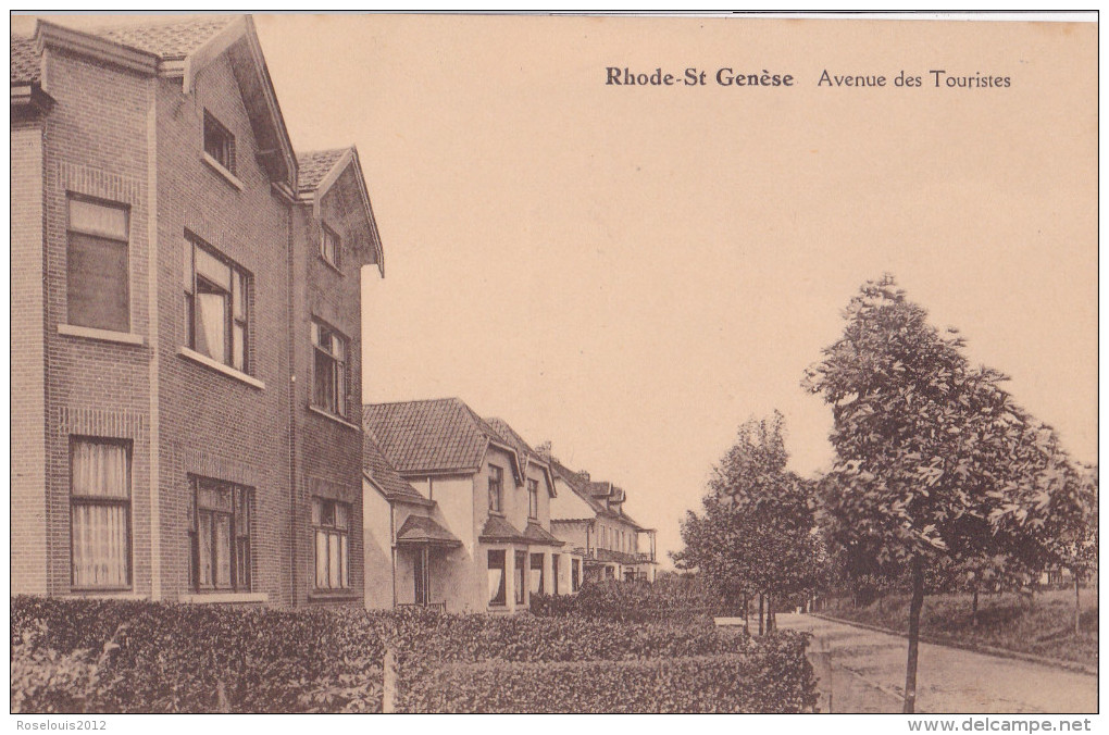 RHODE-SAINT-GENESE / SINT-GENESIUS-RODE : Avenue Des Touristes - Rhode-St-Genèse - St-Genesius-Rode