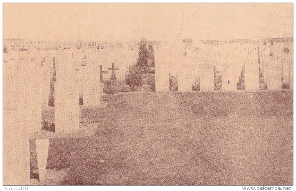 PANSSENDALE / PASSCHENDAELE : Engelsch Kerkhof " Tyne Cot MCY" - Zonnebeke