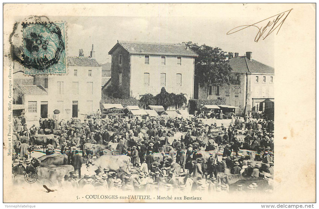 79 - COULOGNES-sur-L'AUTISE - Le Marché Des Bestiaux - (voir Scan Recto-verso) - Coulonges-sur-l'Autize