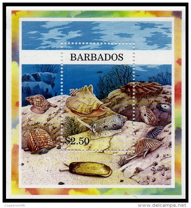 (006) Barbados  Sea Shells Sheet / Bf / Bloc Coquillages / Muscheln ** / Mnh  Michel BL 33 - Barbados (1966-...)