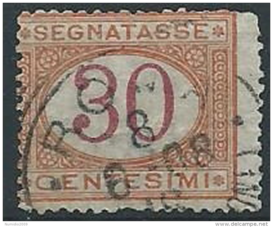 1890-94 REGNO USATO SEGNATASSE 30 CENT - ED431 - Taxe