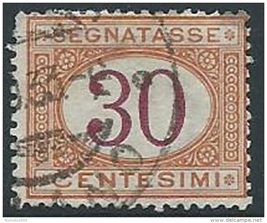 1890-94 REGNO USATO SEGNATASSE 30 CENT - ED433 - Taxe