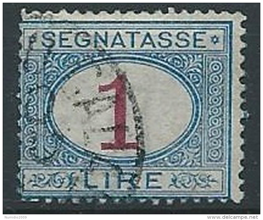 1890-94 REGNO USATO SEGNATASSE 1 LIRA - ED434 - Strafport
