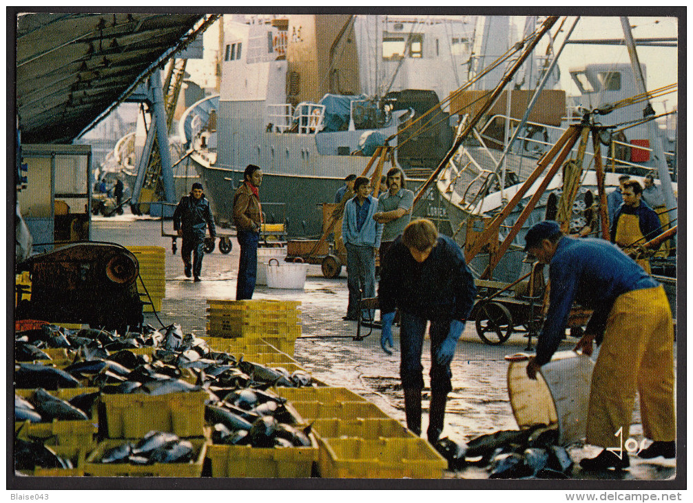 La Pêche En Bretagne - Préparation Pour La Vente à Keroman - Lorient