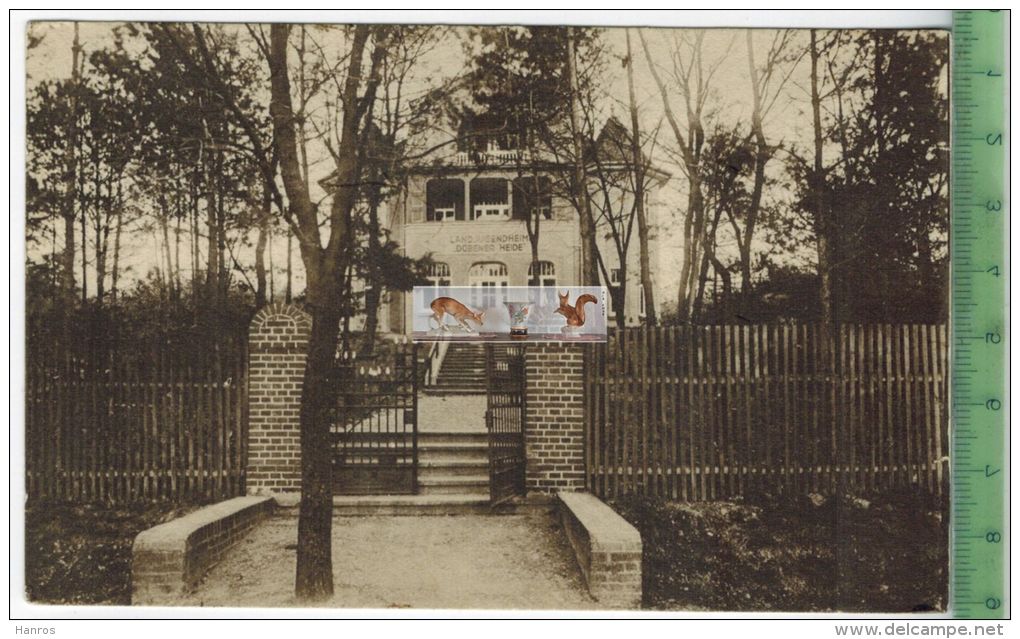 Hammermühle B. Düben, Landjugendheim -1931 -,Verlag: B. Fensch, Düben, Postkarte Mit Frankatur, Mit Stempel DÜBEN - Bad Dueben