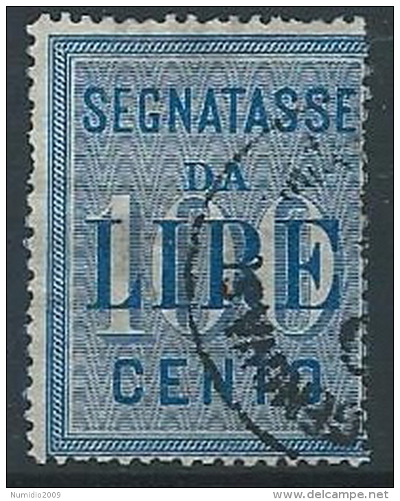 1903 REGNO USATO SEGNATASSE 100 LIRE - ED478 - Postage Due