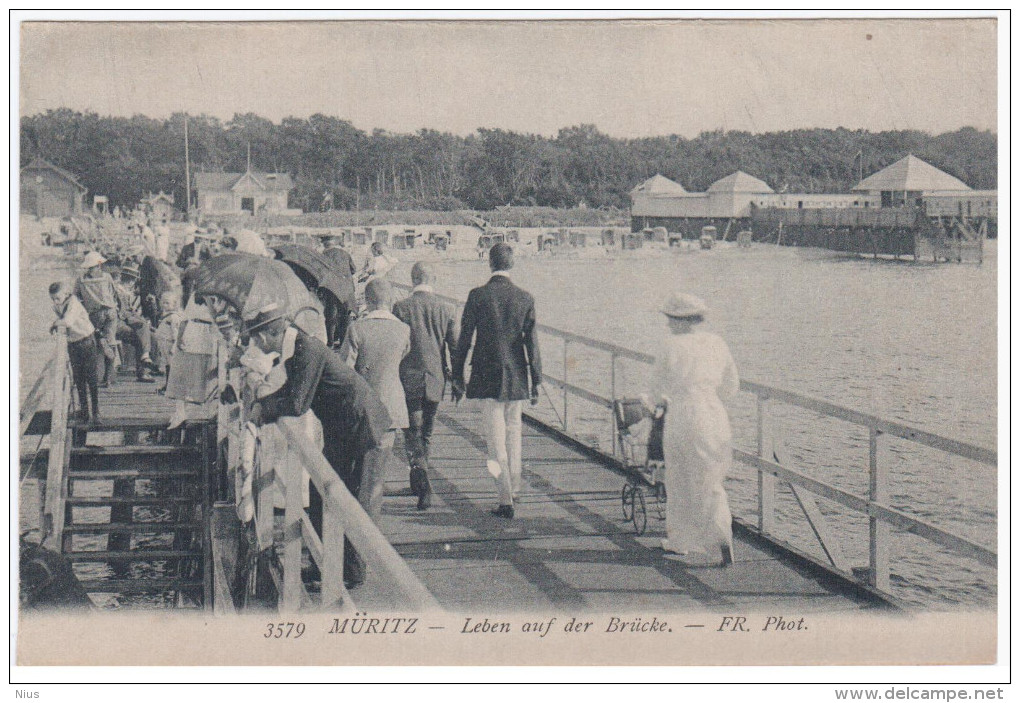 Germany Deutschland, Graal-Müritz, Leben Auf Der Brucke - Graal-Müritz