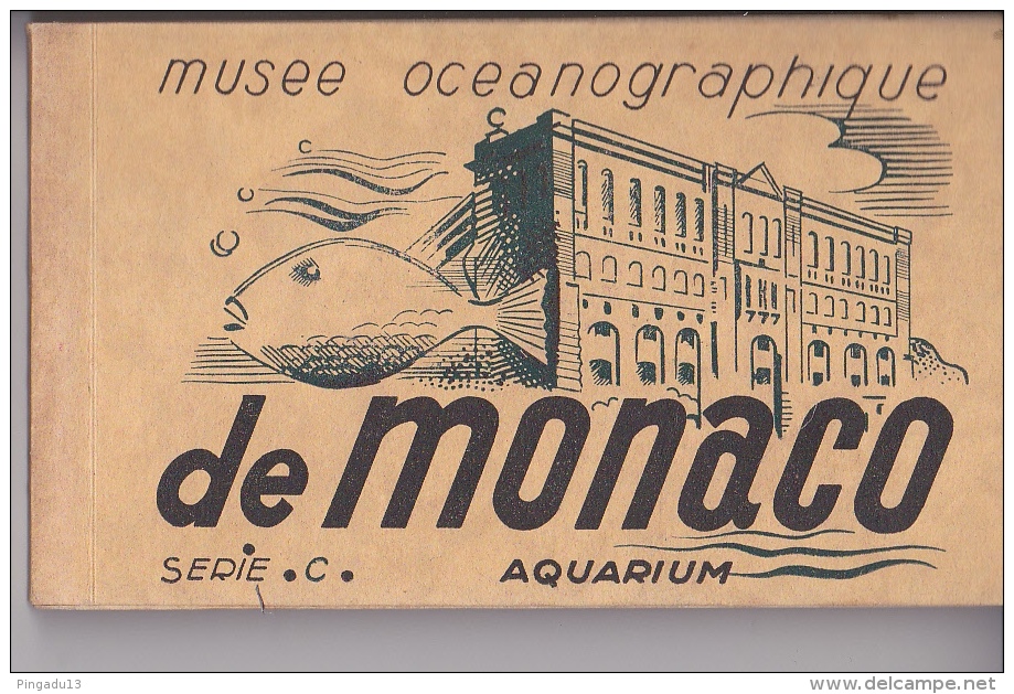 Aui Plus Rapide Monaco Musée Océanographique Série C  Carnet Complet 20 CPA - Oceanografisch Museum