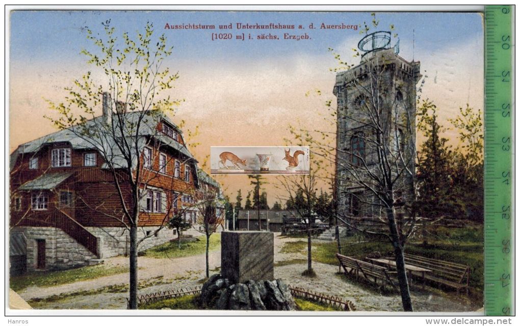 Aussichtsturm Und Unterkunftshaus A. D. Auersburg Um 1920 -Verlag: Franz Landgraf, Zwickau,   Postkarte, - Auersberg