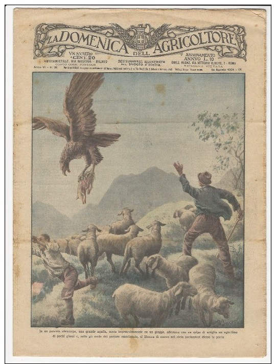 Rivista Del 1931 Aquila Attacca Un Gregge In Abruzzo  LITHO + Coltivazione Pistacchio Su ETNA  Bronte  Adrano  Paternò - Ante 1900