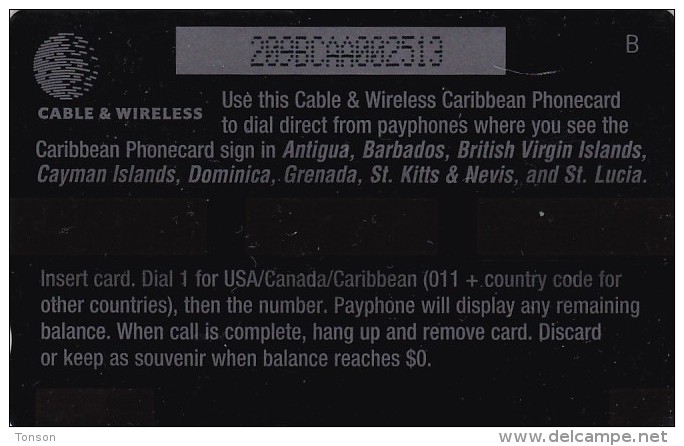 Caribbean, GEN-209A, General Card, Lizard,  Mint, Catalogued RR, 2 Scans.  209BCAAØØ2513 - Autres - Amérique
