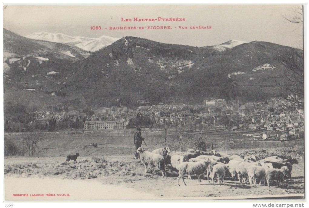Cpa 65 Hautes Pyrenees Bagnieres De Bigorre  Vue Generale Berger Moutons - Bagneres De Bigorre