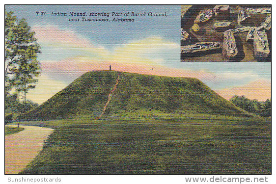 Alabama Tuscaloosa Indian Mound Showing Part Of Burial Ground Cemetery Curteich - Tuscaloosa