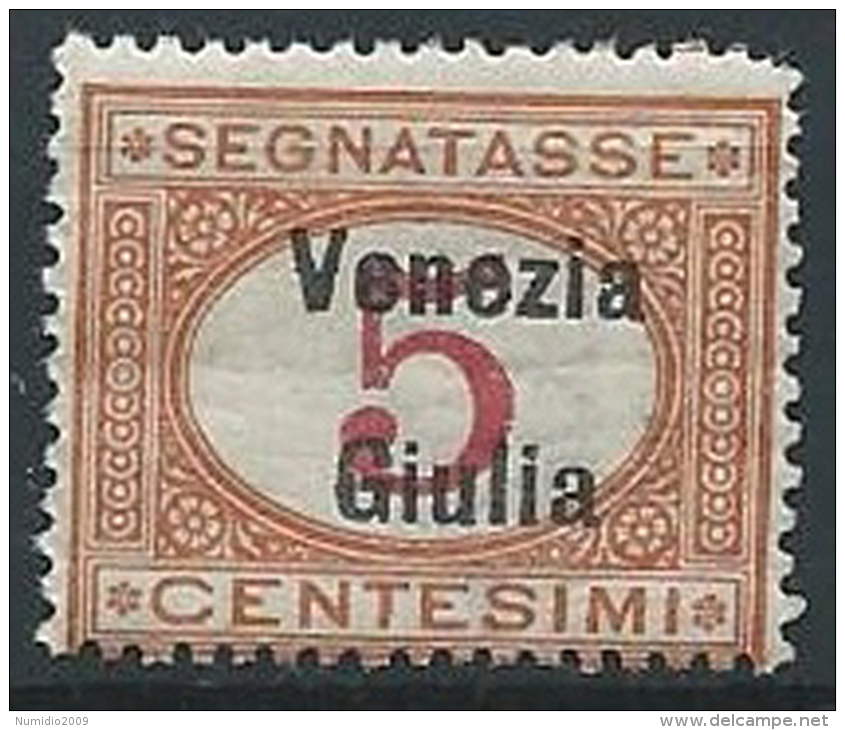 1918 VENEZIA GIULIA SEGNATASSE 5 CENT MNH ** - ED522-2 - Venezia Giulia