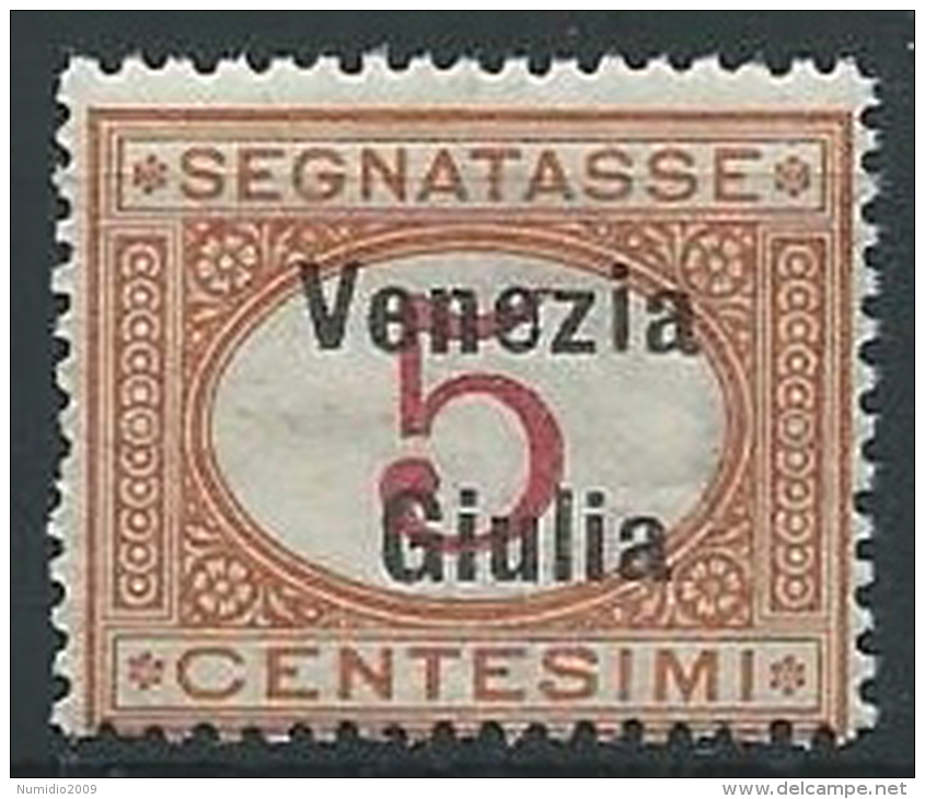 1918 VENEZIA GIULIA SEGNATASSE 5 CENT MNH ** - ED522-5 - Venezia Giulia