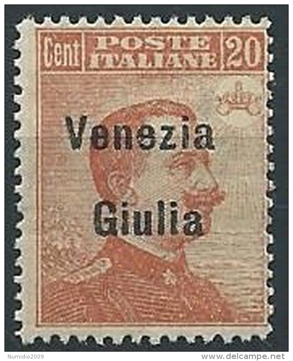 1918-19 VENEZIA GIULIA EFFIGIE 20 CENT MNH ** - ED522 - Venezia Giulia